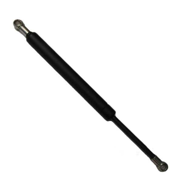 Door Gas Strut